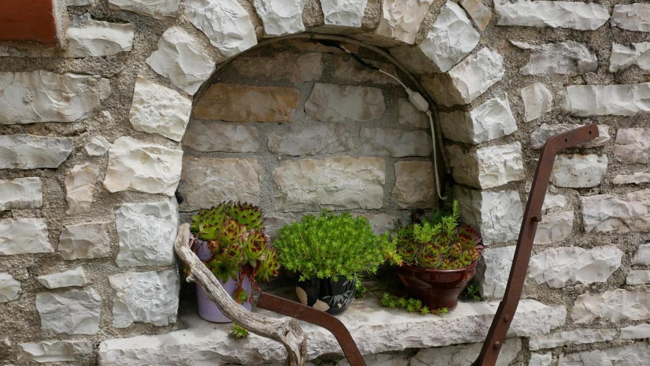 Vikos Hotel Monodendri Exterior photo